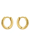 Ted Baker Crislie Logo Hoop Earrings In Gold