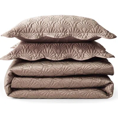 Ted Baker Deco Shells Quilt & Shams Set In Brown