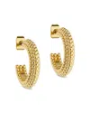 Ted Baker Dotetta Hoop Earrings In Gold Tone