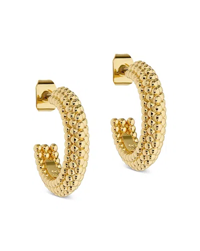 Ted Baker Dotetta Hoop Earrings In Gold Tone