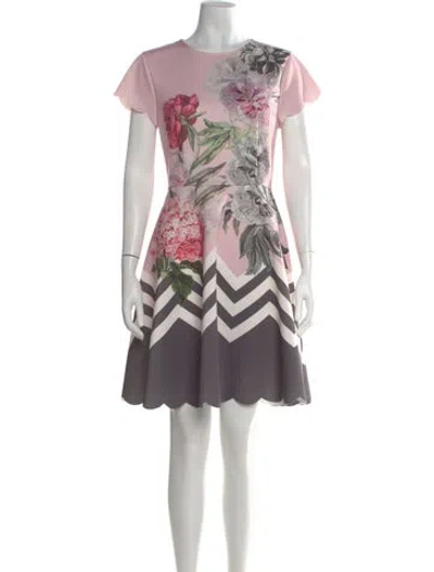 Pre-owned Ted Baker Floral Print Mini Dress In Multi