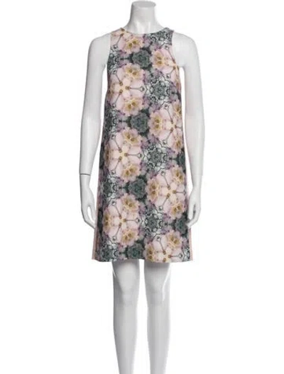 Pre-owned Ted Baker Floral Print Mini Dress In Pink