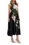 Ted Baker Sleeveless Fit And Flare Maxi Dress