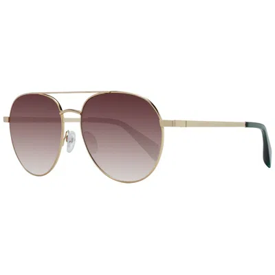 Ted Baker Gold Metal Sunglasses In Transparent