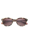 Ted Baker London 51mm Gradient Modified Round Sunglasses In Brown