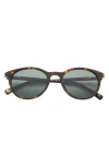 Ted Baker London 51mm Polarized Round Sunglasses In Green