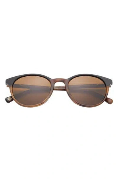 Ted Baker London 51mm Polarized Round Sunglasses In Horn