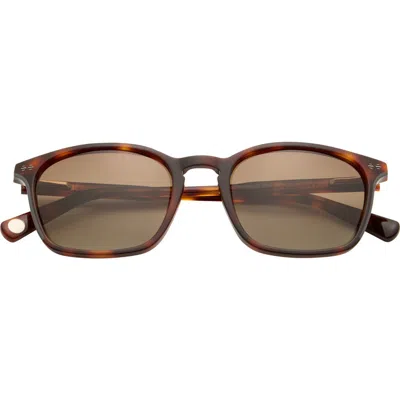 Ted Baker London 52mm Polarized Square Sunglasses In Tortoise