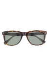 Ted Baker London 53mm Polarized Acetate Frame Square Sunglasses In Brown
