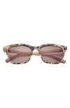 Ted Baker London 53mm Square Sunglasses