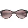 Ted Baker London 54mm Polarized Cat Eye Sunglasses In Tortoise