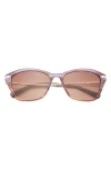 Ted Baker London 55mm Cat Eye Sunglasses In Purple