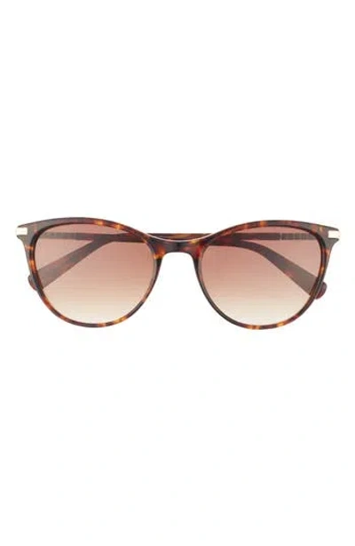 Ted Baker London 55mm Full Rim Modified Round Sunglasses In Brown