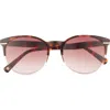 Ted Baker London 55mm Full Rim Round Sunglasses In Brown