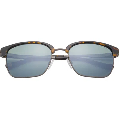 Ted Baker London 55mm Square Polarized Sunglasses In Tortoise