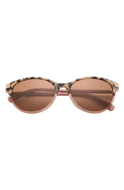 Ted Baker London 56mm Cat Eye Sunglasses In Brown