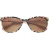 Ted Baker London 56mm Gradient Cat Eye Sunglasses In Brown