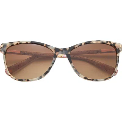 Ted Baker London 56mm Gradient Cat Eye Sunglasses