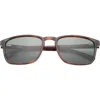 Ted Baker London 56mm Polarized Square Sunglasses In Tortoise
