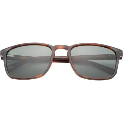 Ted Baker London 56mm Polarized Square Sunglasses In Tortoise