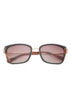 Ted Baker London 56mm Square Sunglasses In Tortoise