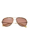 Ted Baker London 57mm Aviator Sunglasses