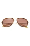 Ted Baker London 57mm Aviator Sunglasses In Tortoise