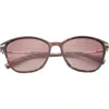 Ted Baker London 57mm Cat Eye Sunglasses In Tortoise
