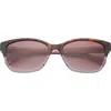 Ted Baker London 57mm Cat Eye Sunglasses In Tortoise