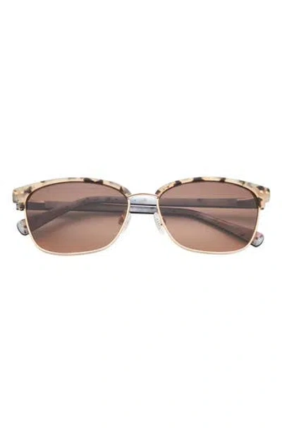 Ted Baker London 57mm Retro Square Sunglasses In Brown