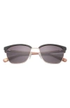 Ted Baker London Full Rim Browline Sunglasses In Black
