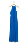 Ted Baker London Helyos Pleated Maxi Halter Dress