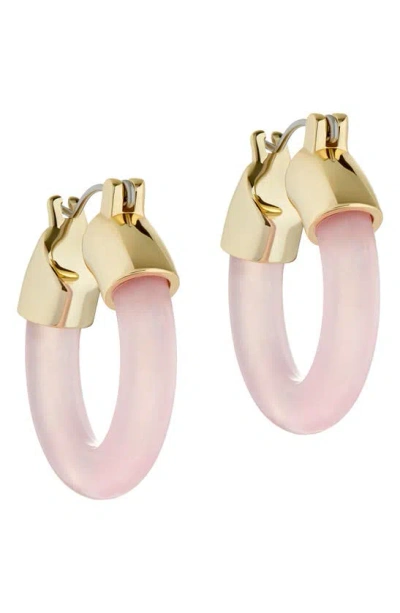 Ted Baker Marblla Hoop Earrings In Gold Tone/ Pink