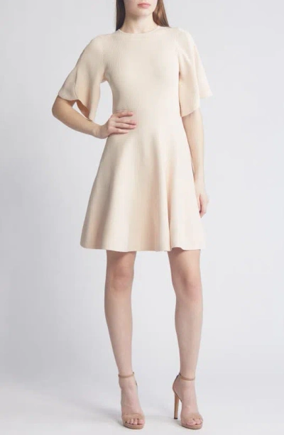 Ted Baker London Olivia Rib Fit & Flare Dress In Light Pink