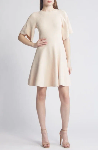 Ted Baker London Olivia Rib Fit & Flare Dress In Light Pink | ModeSens