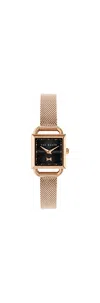 Ted Baker Tb Iconic Taliah Ladies Watch