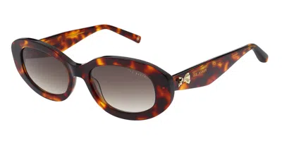 Ted Baker Tb1758 Daisie 100 Women's Sunglasses Tortoiseshell Size 52 In Glossy Classic Tortoise