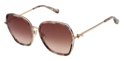 Ted Baker Tb1776 Kira 101 Women's Sunglasses Tortoiseshell Size 58 In Brown