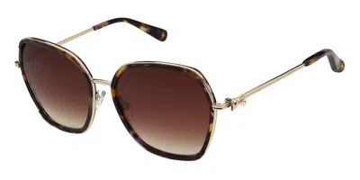 Ted Baker Tb1776 Kira 703 Women's Sunglasses Tortoiseshell Size 58 In Brown