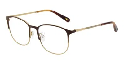 Ted Baker Tb4311 Men's Glasses, Brown, Size 55