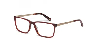 Ted Baker Tb8218 Silas Women's Glasses, Red, Size 55