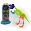 Tedco Toys T-rex Skeleton Tube Puzzle