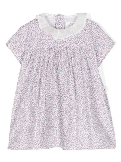 Teddy &amp; Minou Babies' Pink And White Flower Print Dress In Multicolour
