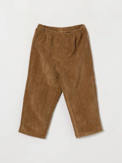 Teddy & Minou Babies'  Boys' Velvet Jogging Trousers With Elasticated Waist In Brown