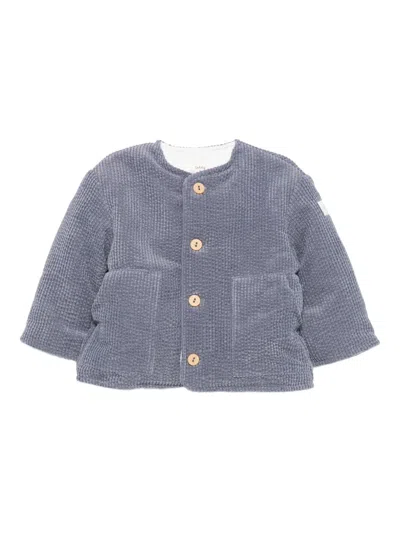Teddy & Minou Babies' Corduroy Jacket In Blue