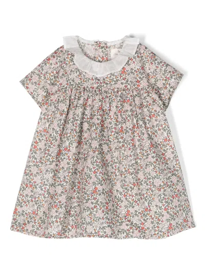 Teddy & Minou Babies' Floral-print Cotton Dress In 绿色