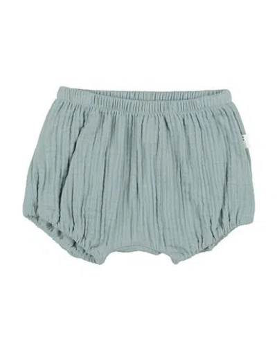 Teddy & Minou Babies'  Toddler Boy Shorts & Bermuda Shorts Sage Green Size 1 Organic Cotton
