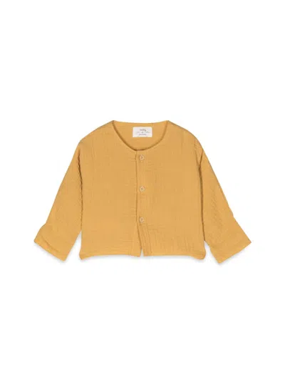 Teddy & Minou Mini Choker Jacket In Yellow