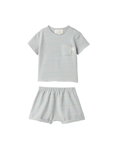 Teddy & Minou Mini Girls' T-shirt And Shorts Set In Gray