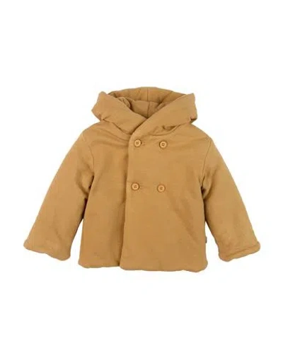 Teddy & Minou Babies'  Newborn Boy Jacket Brown Size 3 Cotton, Elastane